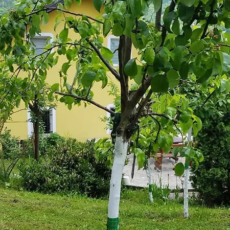Holiday home Alma's Sweet Sarajevo