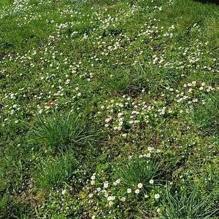 度假居 Alma's Sweet